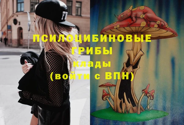MDMA Premium VHQ Аркадак