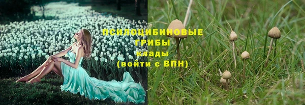 Альфа ПВП Балахна
