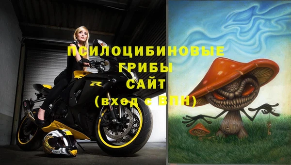 MDMA Premium VHQ Аркадак